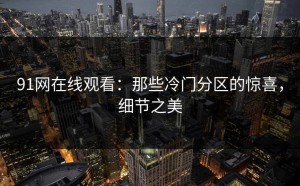 91网在线观看：那些冷门分区的惊喜，细节之美