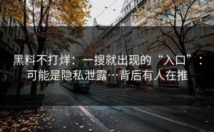 黑料不打烊：一搜就出现的“入口”：可能是隐私泄露…背后有人在推