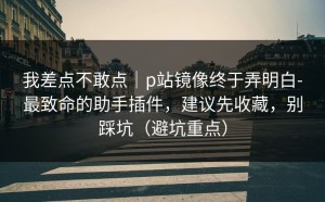 我差点不敢点｜p站镜像终于弄明白-最致命的助手插件，建议先收藏，别踩坑（避坑重点）