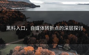 黑料入口，自媒体转折点的深层探讨